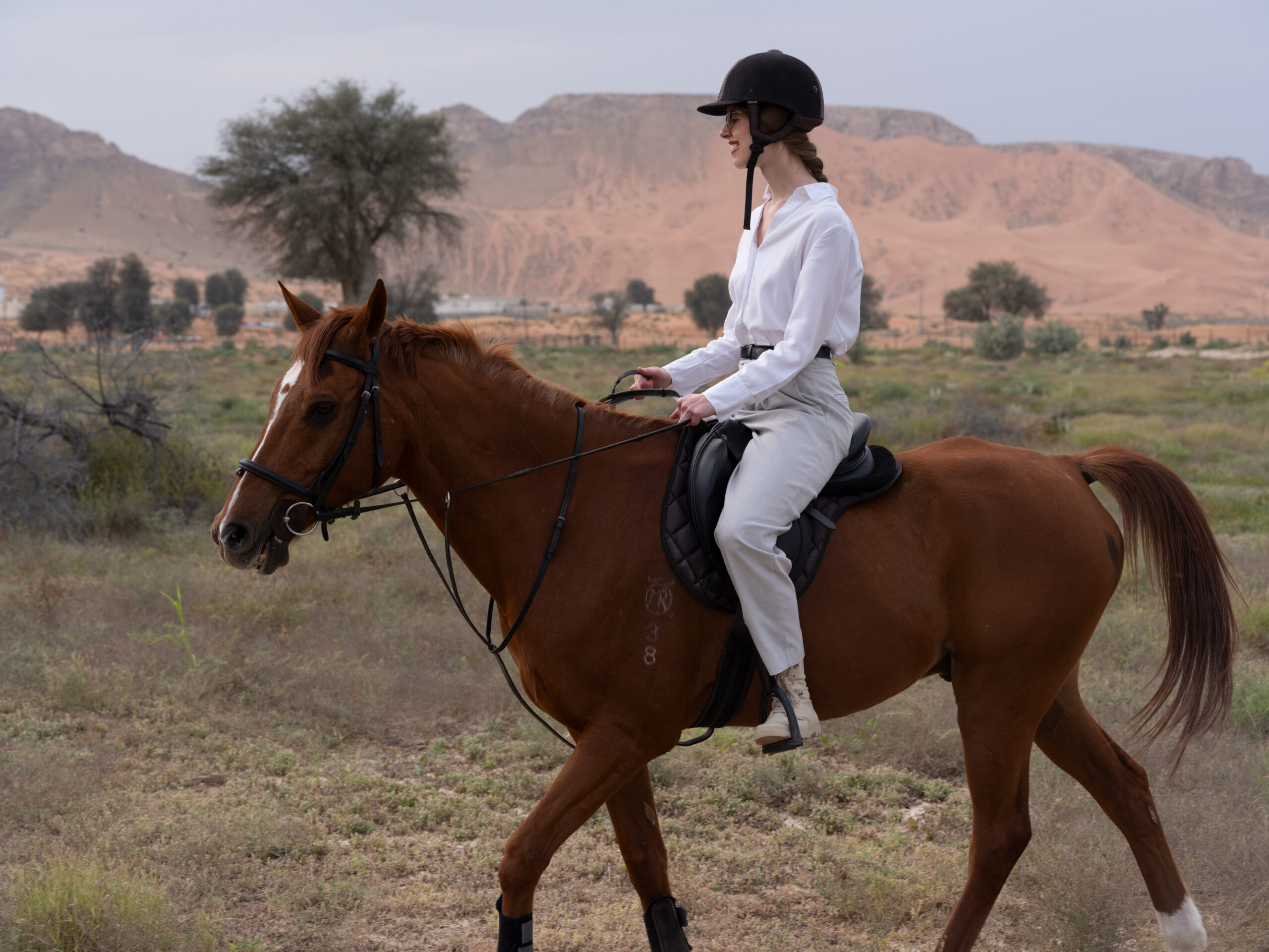 Horseriding in the desert